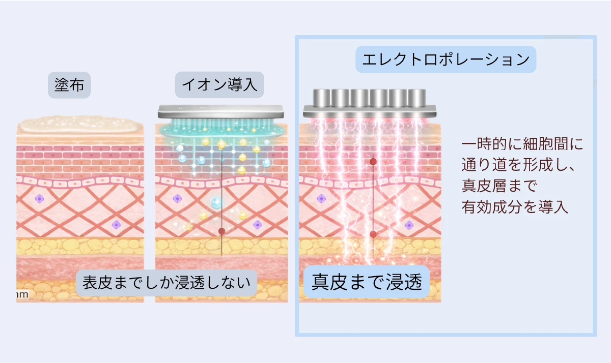 エレクトロポレーションとはイメージ